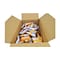 Chex Mix Simply Chex Chex Mix Snack Mix Chocolate Caramel 1.03 oz. Bag, PK60 16000-31933 - alternate 2